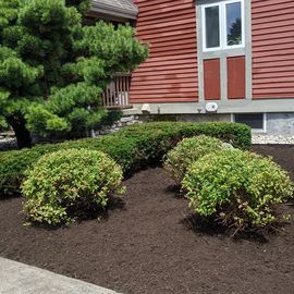 landscaping services 