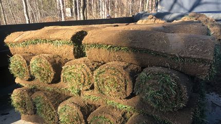 grass installation 