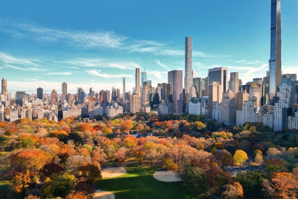 Autumn view of Central Park with NYC skyline, showcasing colorful foliage and tall buildings.