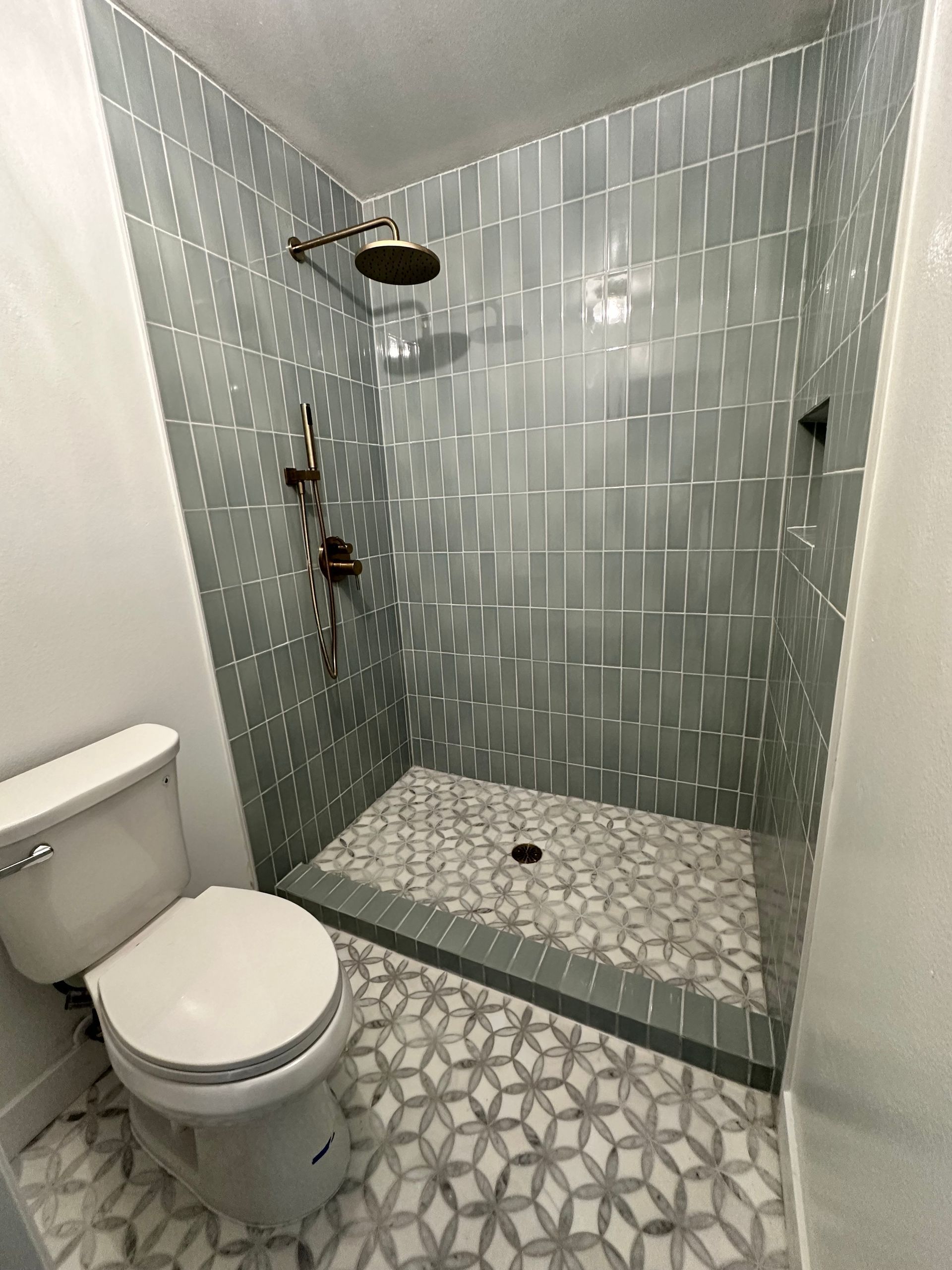 A bathroom with a toilet and a walk in shower.