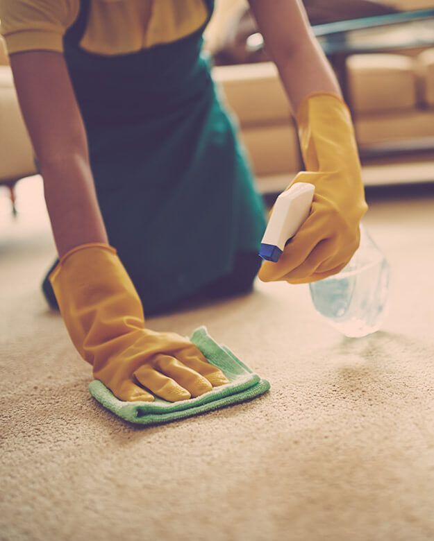 A person is cleaning a carpet with a cloth and spray bottle.