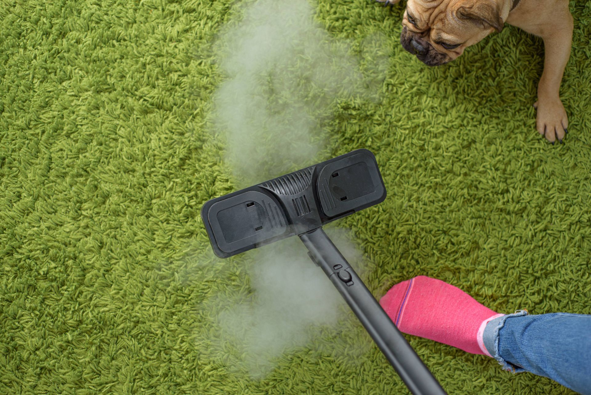 A person is using a steam cleaner to clean a green carpet.