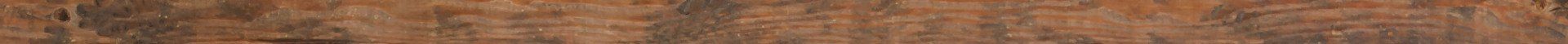 Wood grain texture image