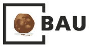 Eine braune Kugel mit weißer Spiegelung in einem schwarzen Quadrat, daneben die Buchstaben „BAU“ in Schwarz.