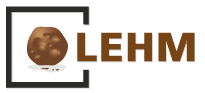 Mit einer braunen, strukturierten Kugel in einem schwarzen Quadrat und den Buchstaben „LEHM“ in Braun.