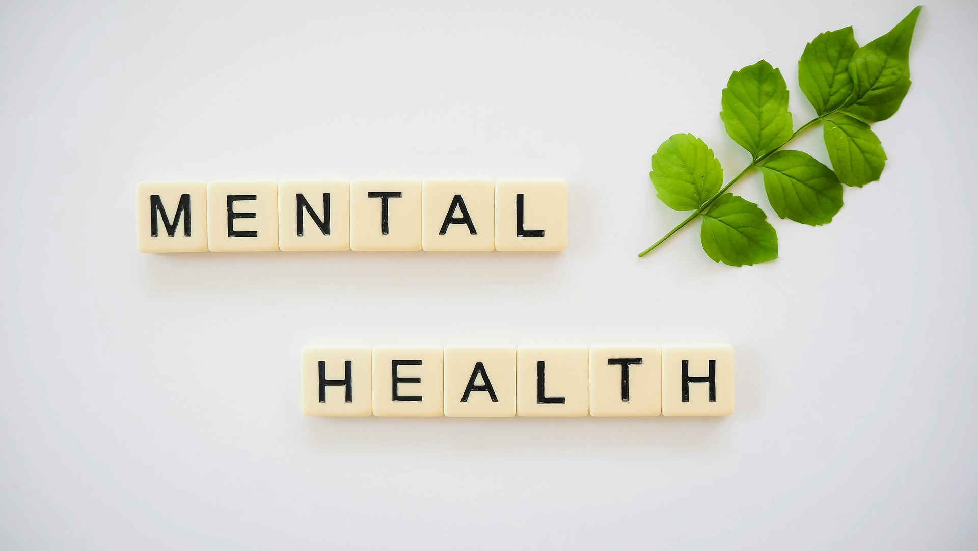“Mental health” spelled with wooden tiles beside green leaves on a light background