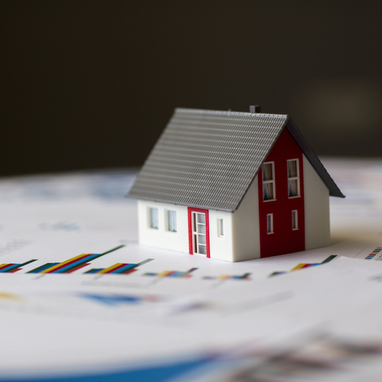 Woman explaring with dog