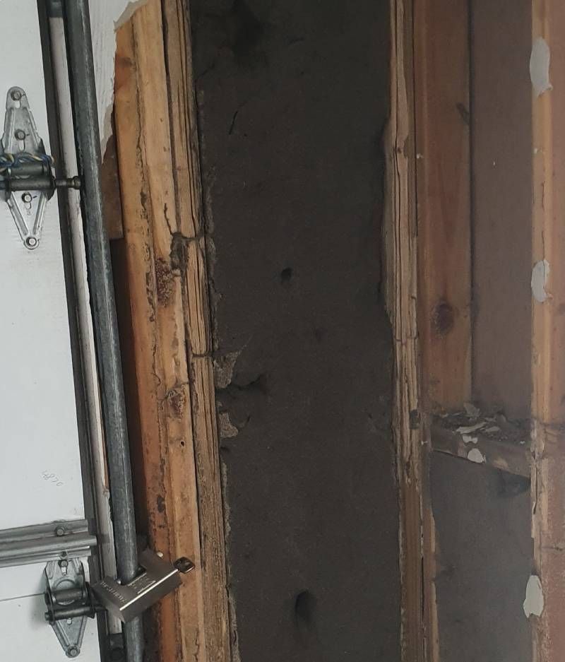 termite damage