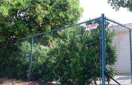 Residential Fence With Trees — Riverside, CA — Elrod Fence Co