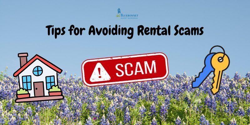 Tips for Avoiding Rental Scams