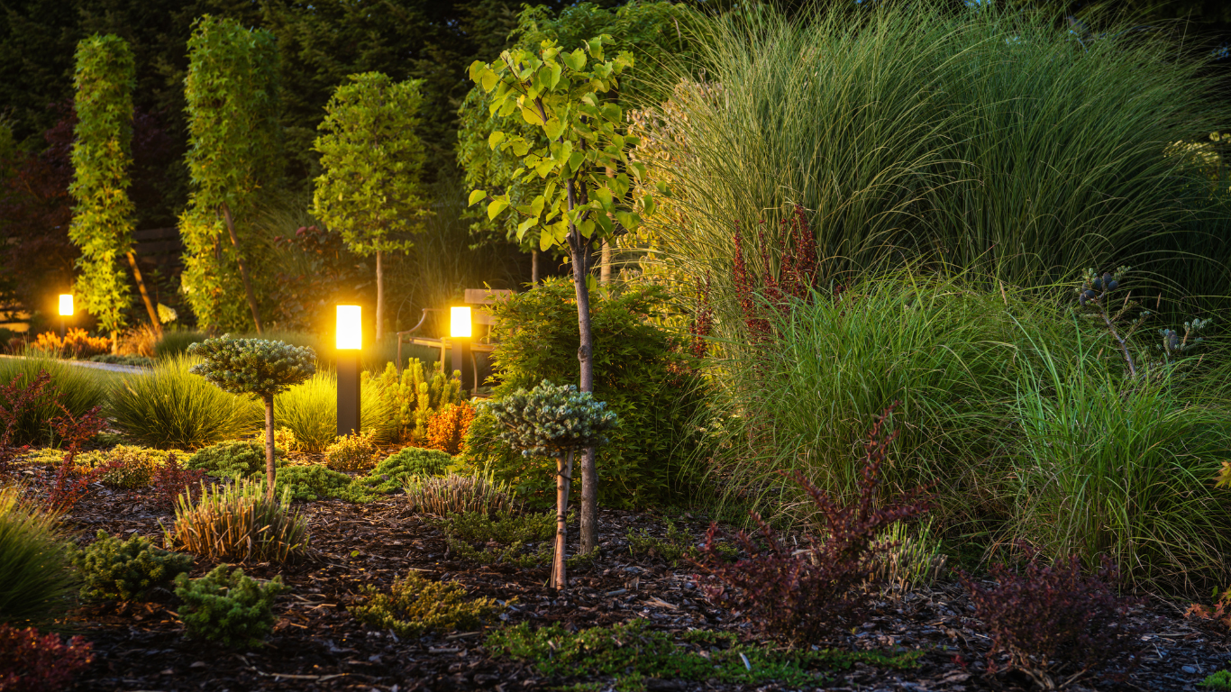 A garden is lit up with landscape lighting at night with trees and bushes.