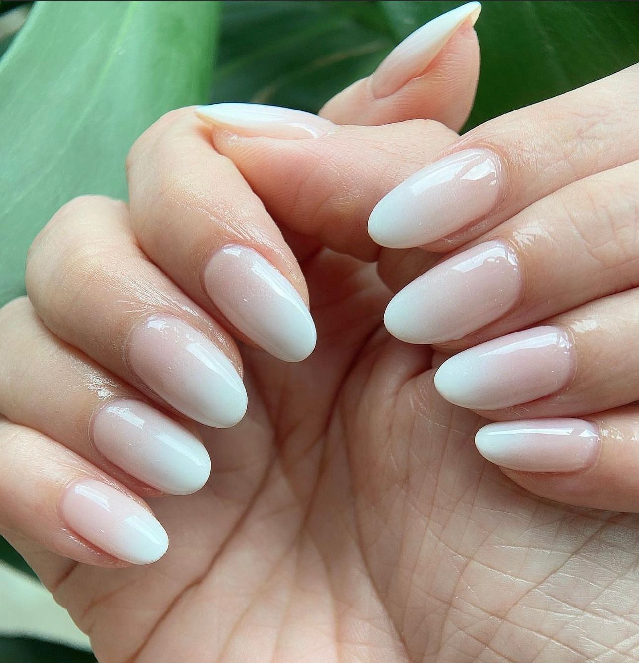 A close up of a woman 's hand with long white nails
