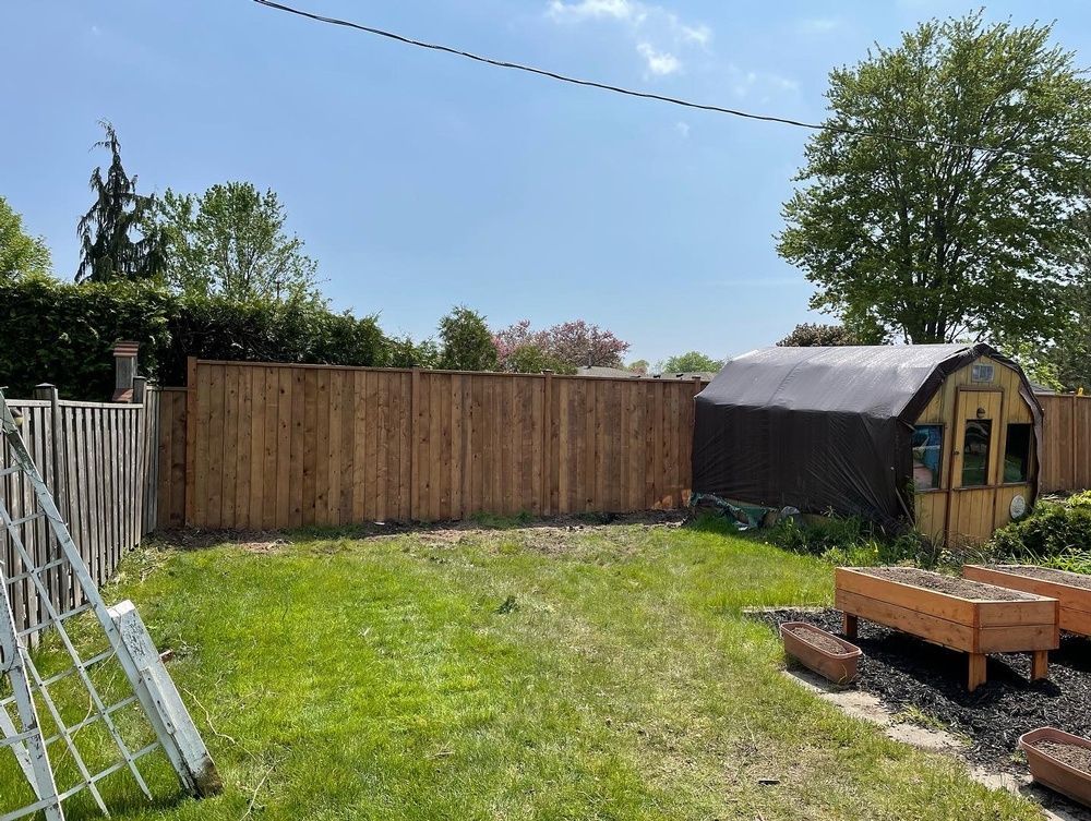 A backyard with a wooden fence and a greenhouse.