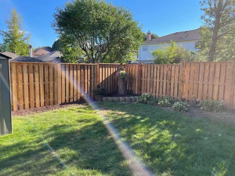 A backyard with a wooden fence and a shed.