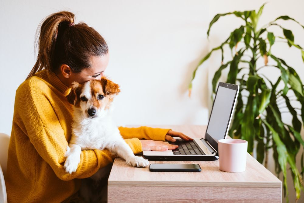 A woman is sitting at a desk with her dog and using a laptop.