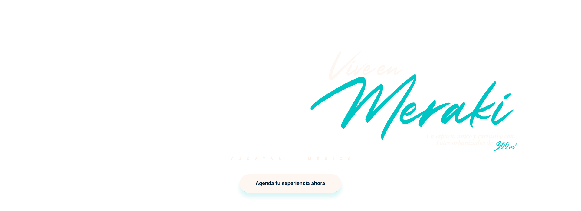 Vive en Meraki Residencial