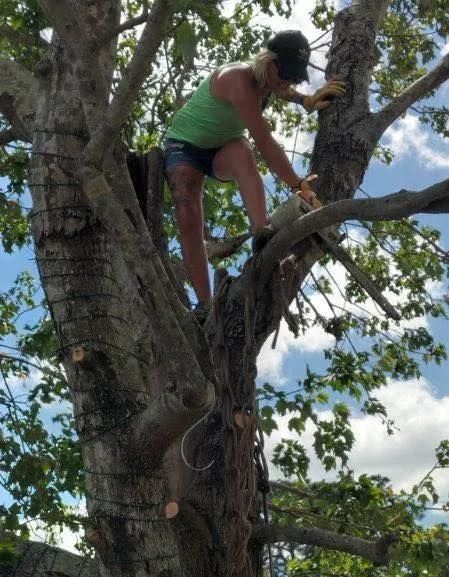 Person climbing a tree among branches under a partly cloudy sky