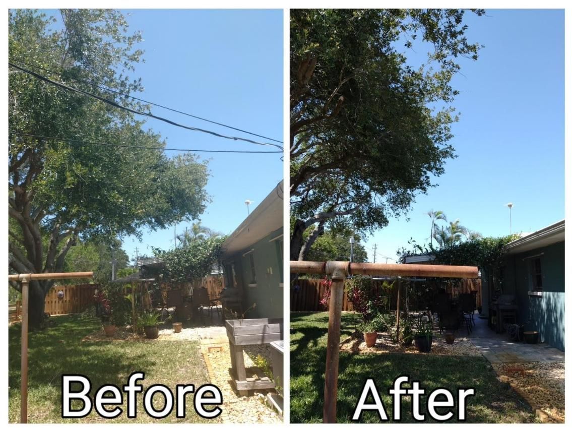 Backyard before-and-after showing trimmed trees, a clearer sky, and a tidier outdoor space