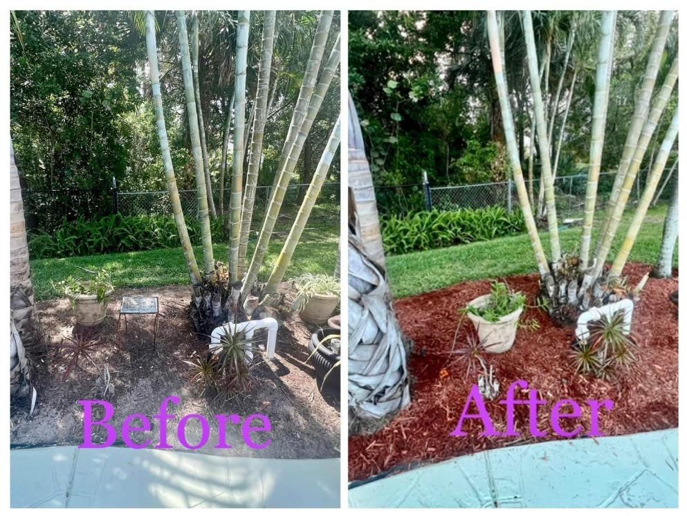 Split-view garden before-and-after: mulched plant bed changed to fresh red mulch and trimmed bamboo trunks.