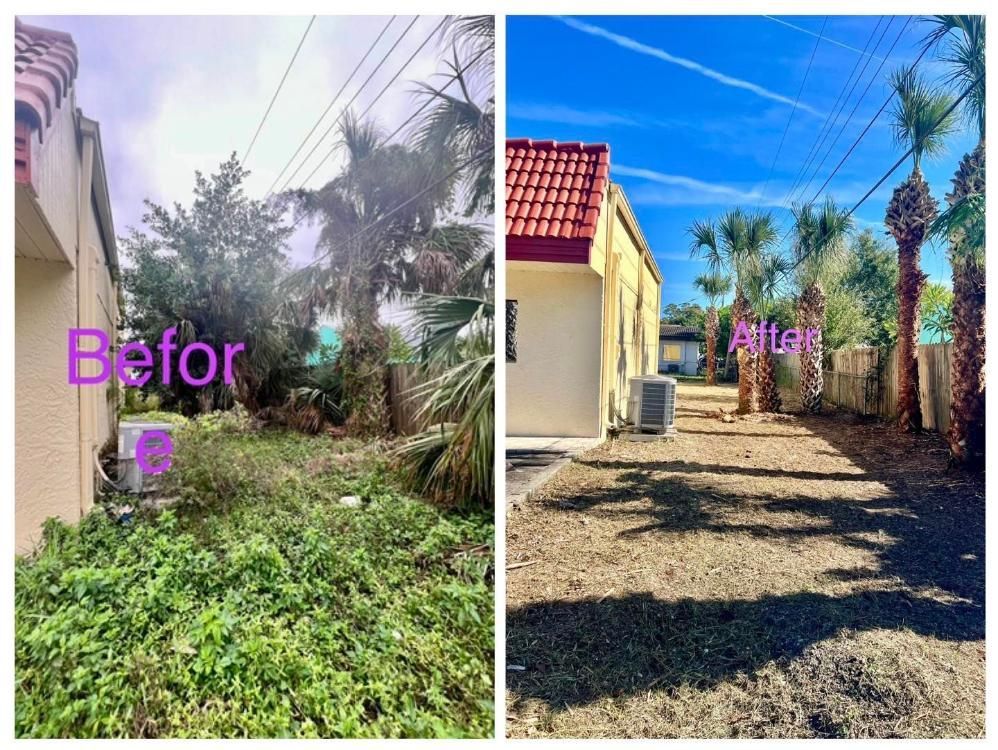 Before-and-after yard: overgrown greenery beside a house changed to a cleared gravel driveway.
