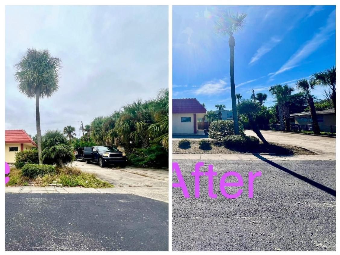 Before-and-after roadside scene with a tall tree removed, showing a clearer driveway and blue sky.