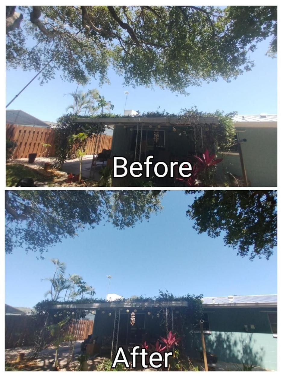 Before-and-after view of a backyard patio, showing cleared plants and a brighter blue sky.