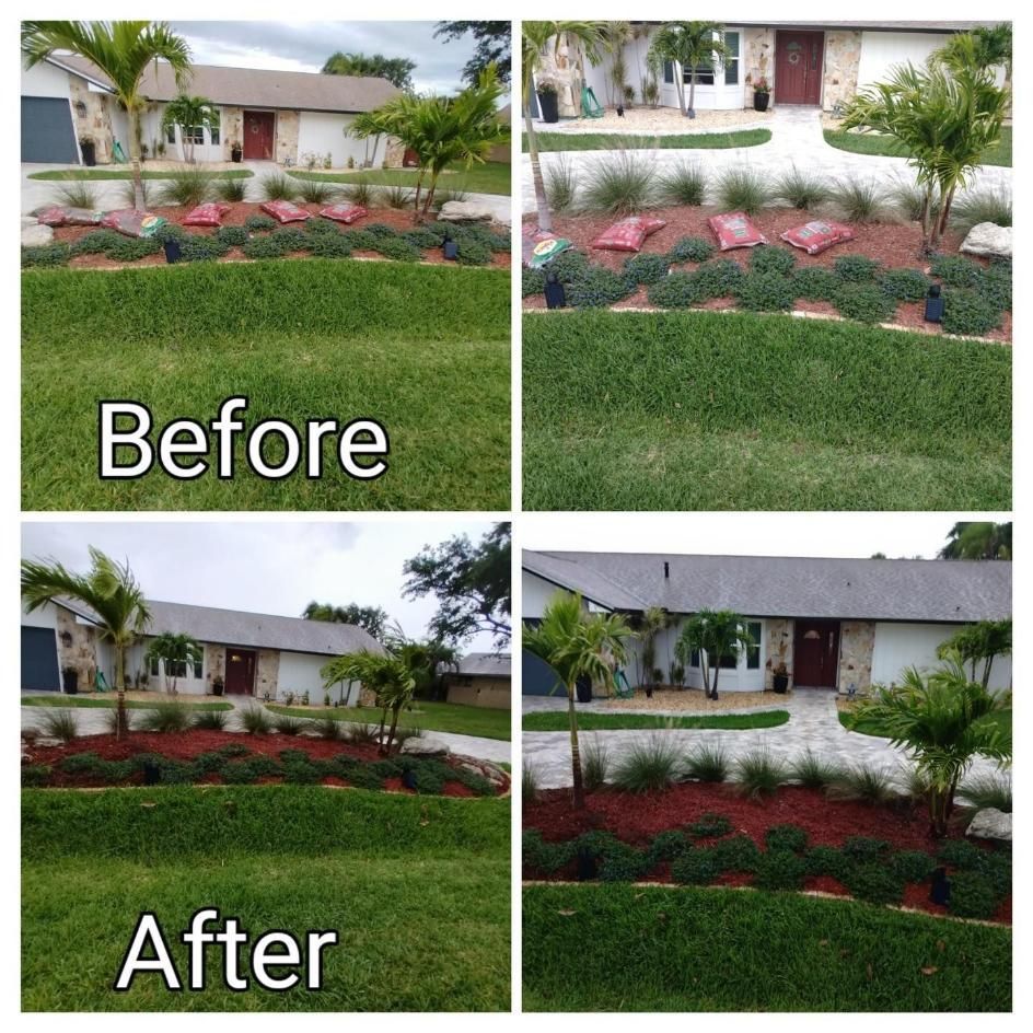 Split before-and-after view of a landscaped front yard with lawn, shrubs, and red mulch.