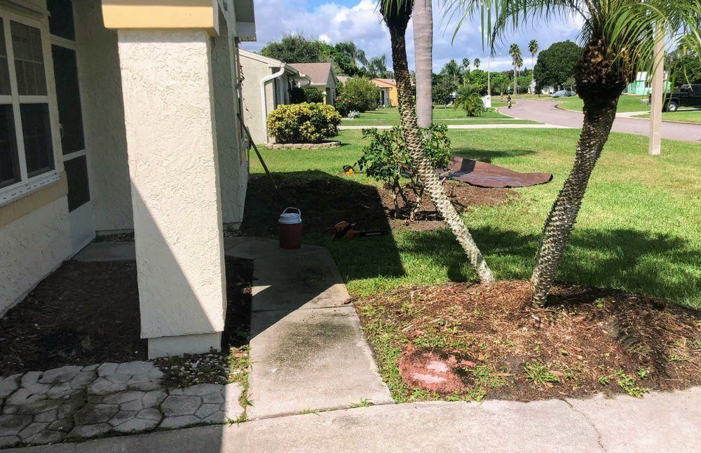 Front porch walkway beside a house, with a small lawn, palm trees, and garden bed in bright sunlight.