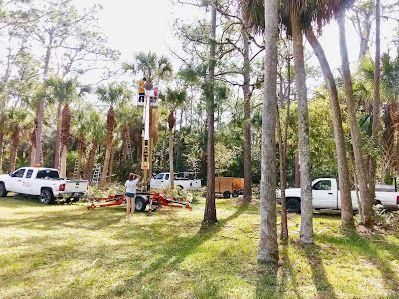 Parks with tall palm trees, white trucks, and picnic tables in a grassy area