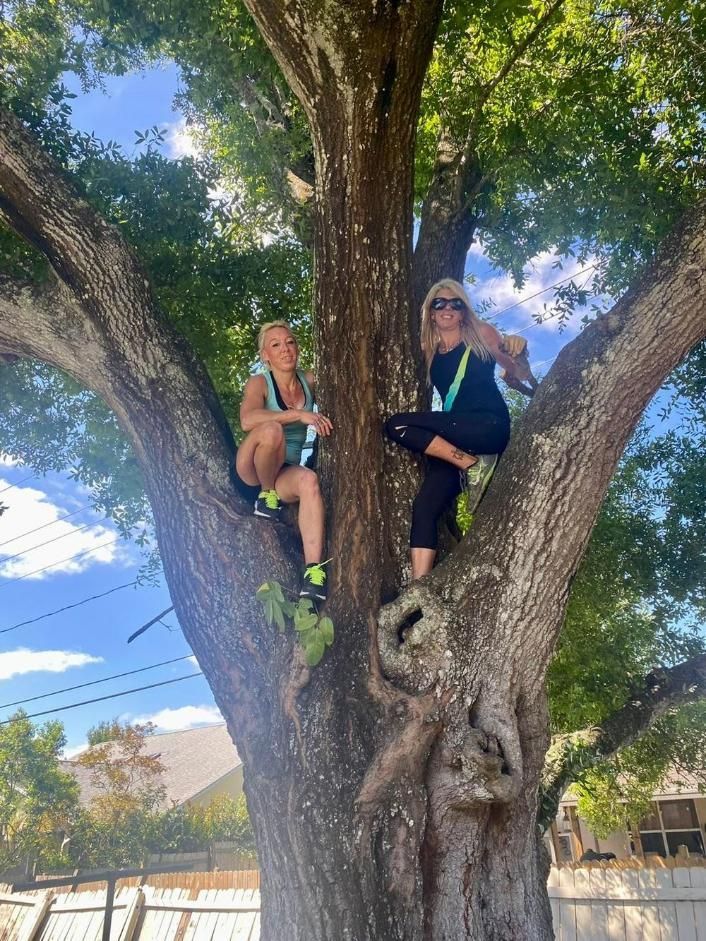 Two people sitting in a large tree, surrounded by green leaves in a sunny outdoor yard.