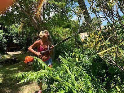 Person in a garden holding a string trimmer among lush green plants and palm fronds.