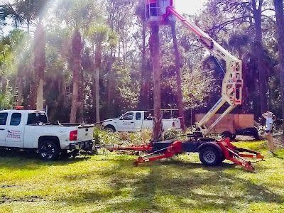 White utility trucks and a red lift machine in a grassy wooded area with sunlight filtering through trees