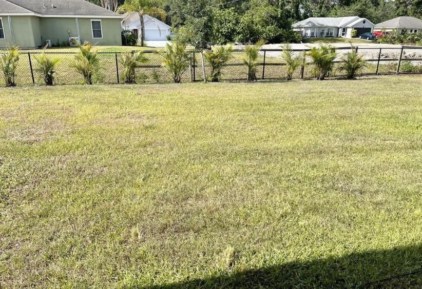 Front lawn with short grass, shrubs along a fence, and houses in the background