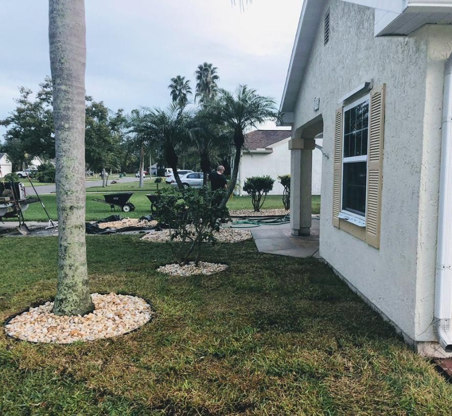 White house exterior with a window, palm tree, and grassy yard in a sunny suburban setting