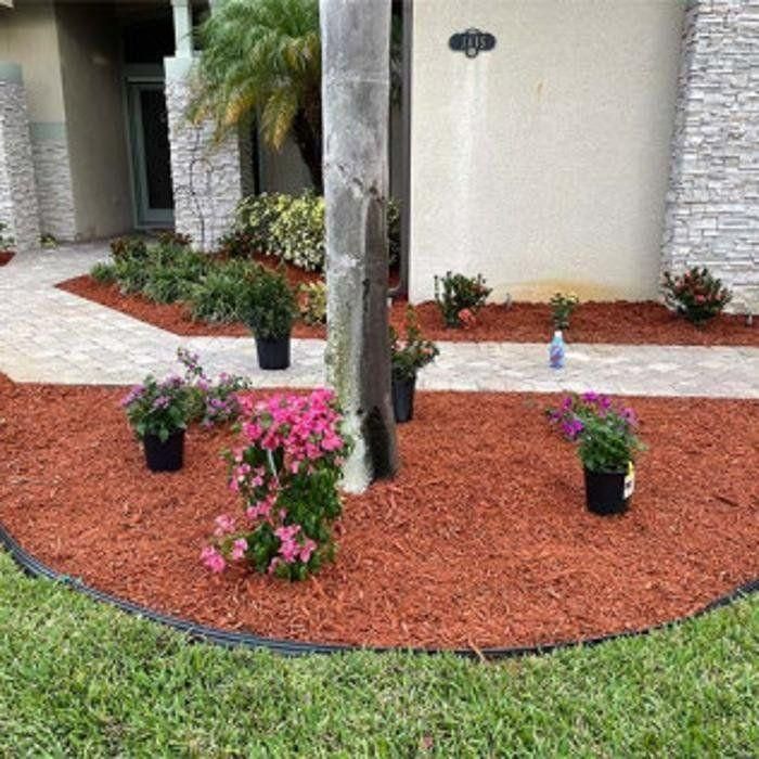 Front yard garden bed with red mulch, potted pink and purple flowers, and a palm tree near a house entrance