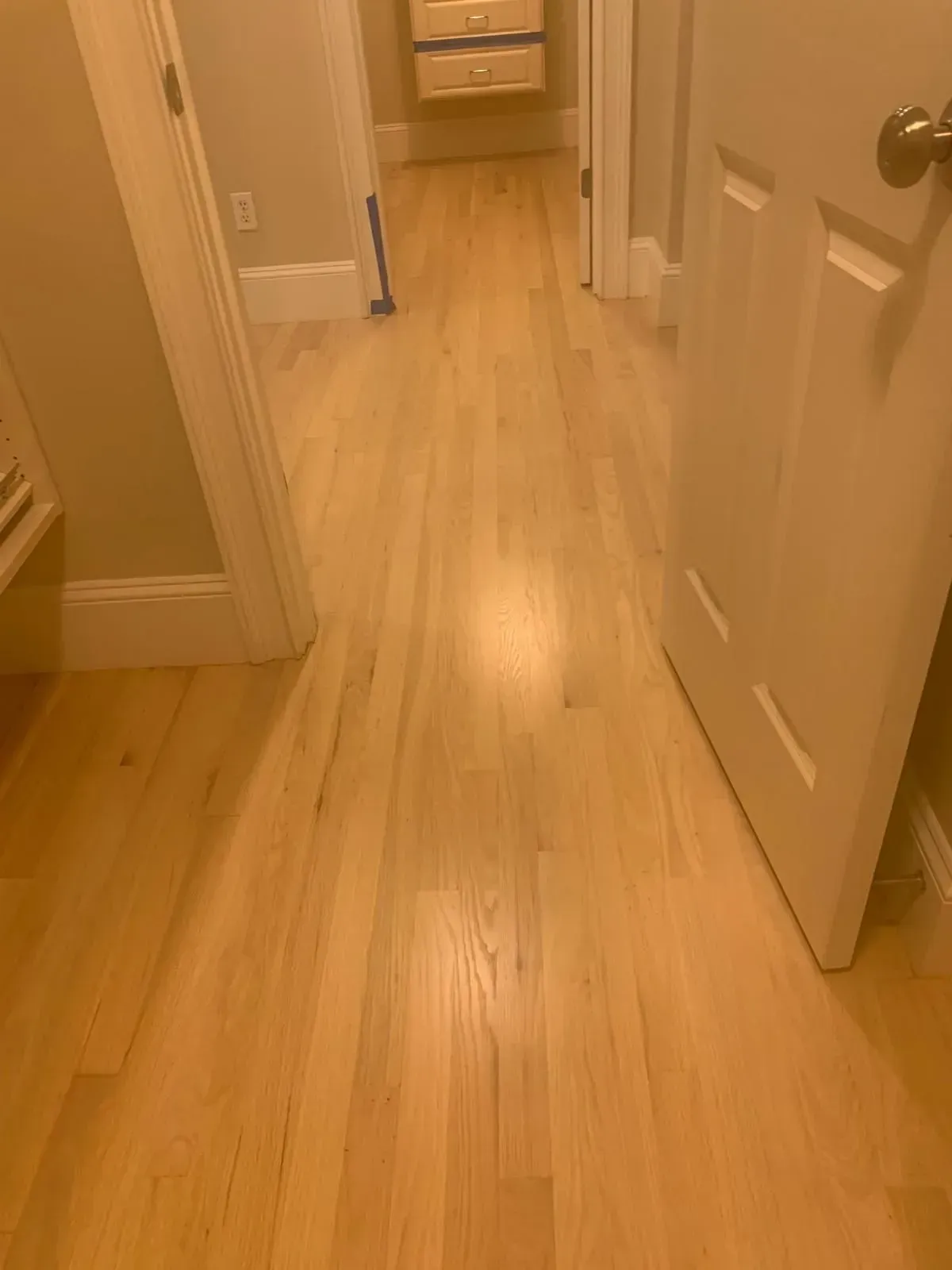 Hallway with light-colored hardwood floors and white doors.