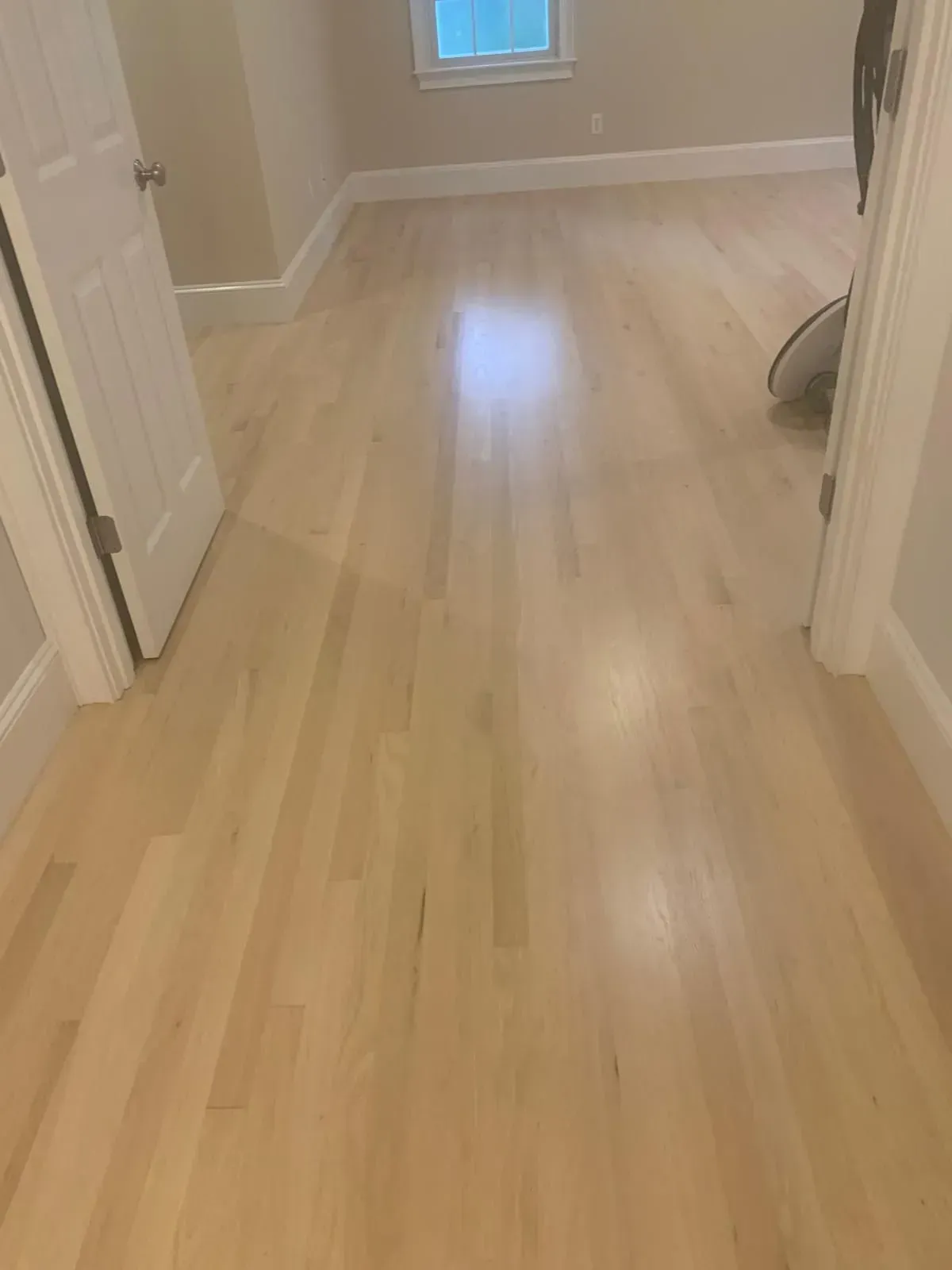 Light-colored wooden floor in a room with white trim and doors. Sunlight reflects off the shiny surface.