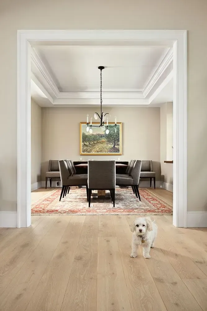 Dog in light-colored wood-floored entry looking into a dining room with table, chairs, rug, art, and chandelier.