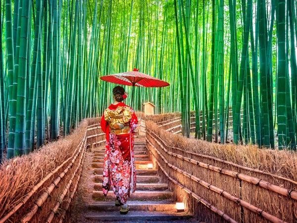 Una persona con un kimono rosso a fiori e un ombrello rosso sale le scale attraverso una rigogliosa foresta di bambù.