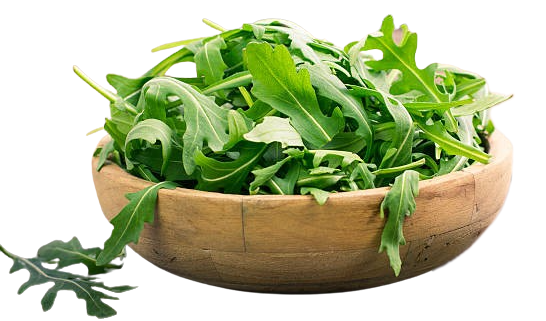 Arugula Lettuce