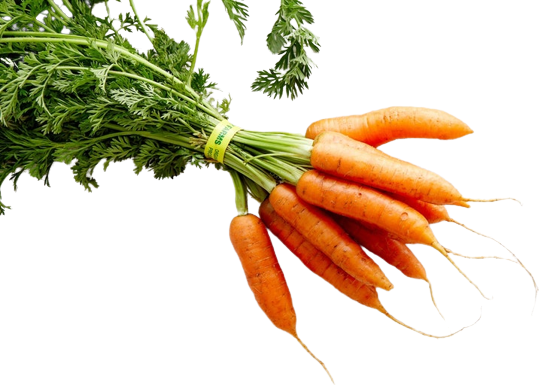 Baby Carrots