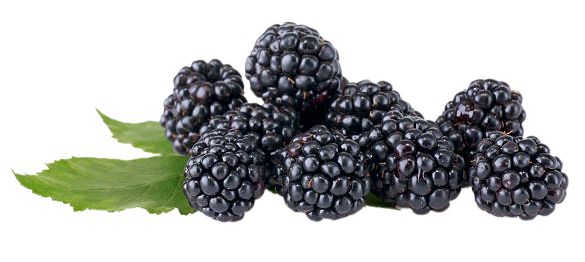 Blackberries