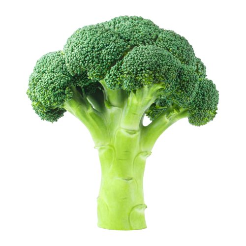 Broccoli