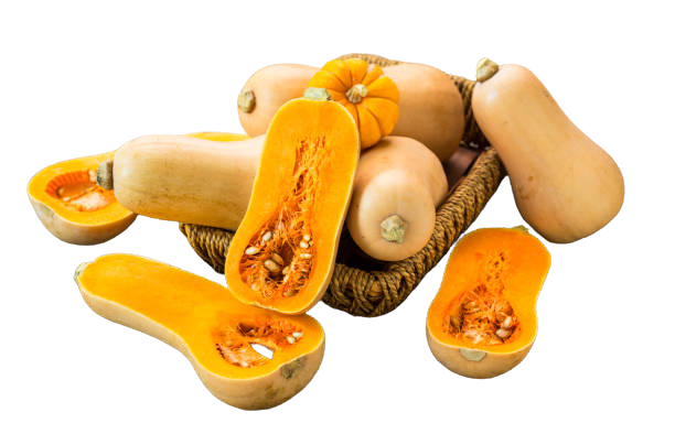 Butternut Squash