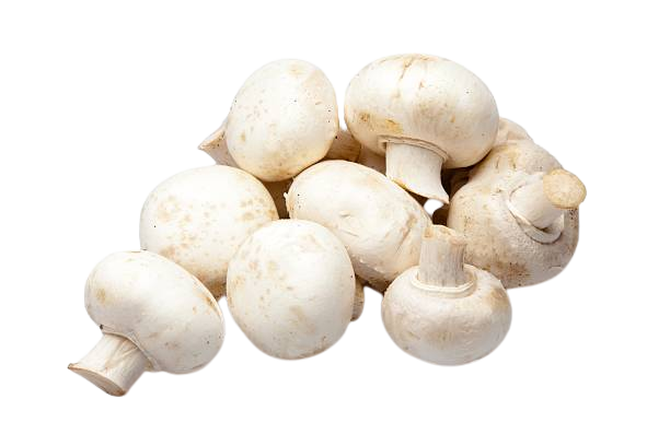 Button Mushrooms