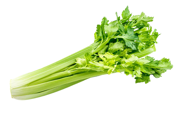 Celery