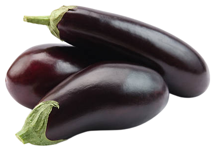 Eggplant