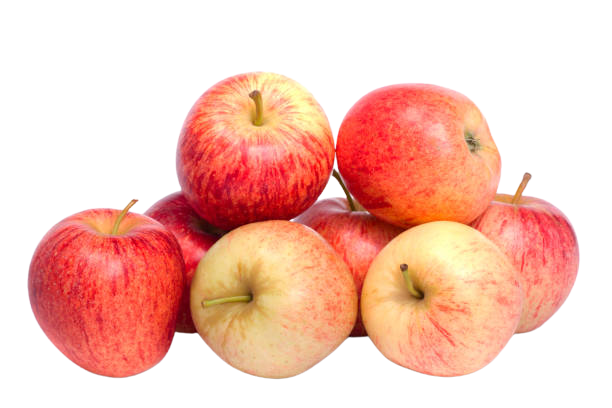 Gala Apples