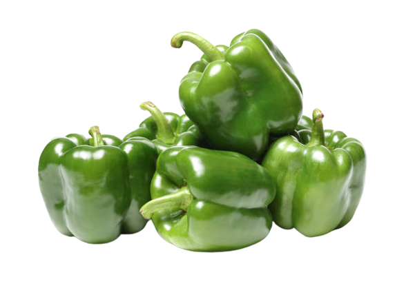 Green Bell Pepper