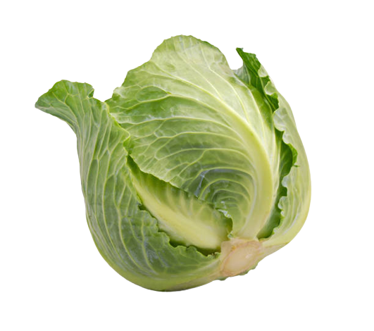 Green Cabbage